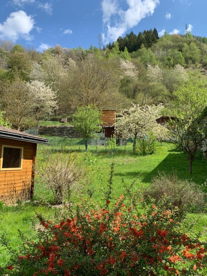 B&B Cuore Verde Poschiavo Exterior photo